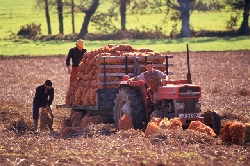 ���������! �������!