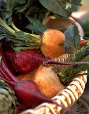 ������ �� ������������� � ��������