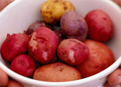 ������� ���������