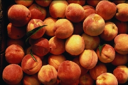 ���������� �����