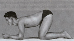 �������� ����-�������� ��� ����� � ������������� ������ ������������