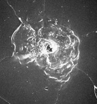 ���� �� �������������� �� ������� Endeavor. 2000 ��� (���� � ����� scienceclarified.com).