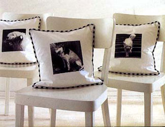 ������������ �������