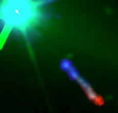 �� ���� ������ ��������� 3C273. ��� ������ ��������� � ����� ������� ����. ������ ����� � ���� �� ������������������ ������. ������ ������������ ����� ����� �������� �������� ���������, � �������� ������ ���� � ��� ���������� ���������� ��������, ��������� � ����������� ������ �������� (���� � ����� astro.soton.ac.uk).