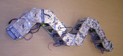 �� ����� � �������, � ������, � ������, � ������. ������� ��� ����� ����� (���� Polymorphic Robotics Laboratory).