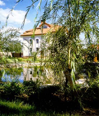 Дом у идеально обустоенного водоема... Что может быть прекраснее?